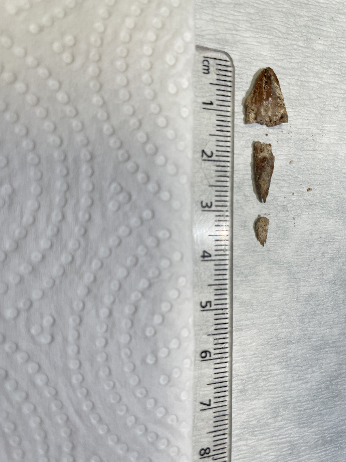 20220316-2-52640876-74742397-copy