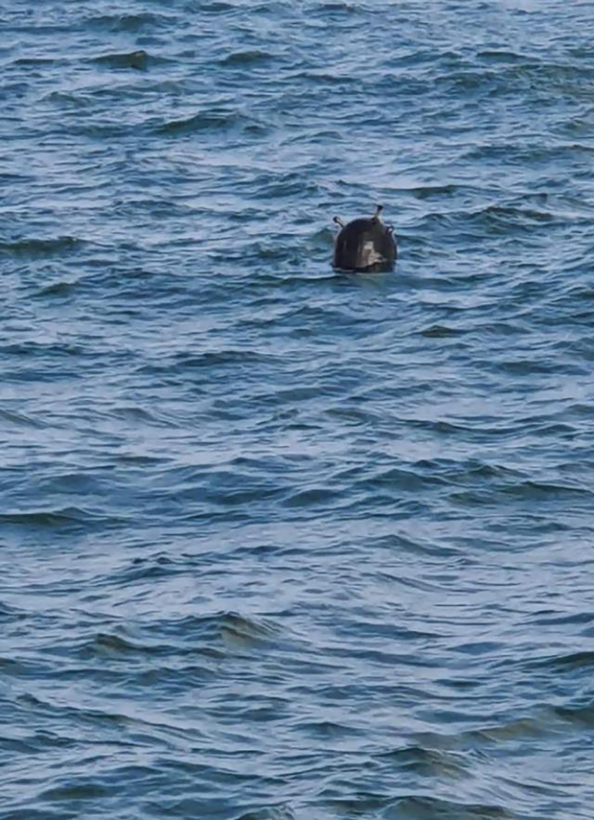 son-dakika-istanbul-bogazi-nda-mayin-benzeri-bir-14822370-5111-m