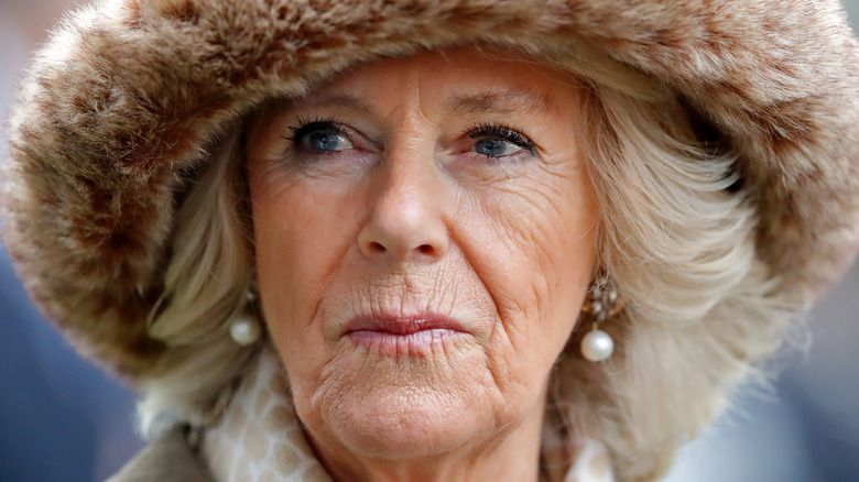 shady-side-camilla-parker-bowles