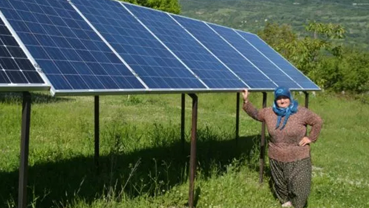 sinoplu-teyze-elektrik