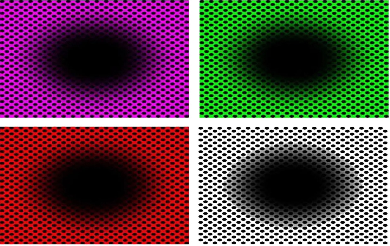 whatsapp-image-2022-06-07-at-10-29-58