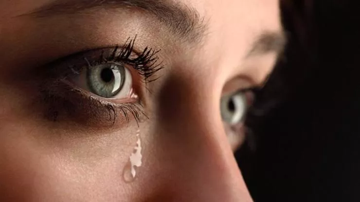 5880688840201134bc4384d4