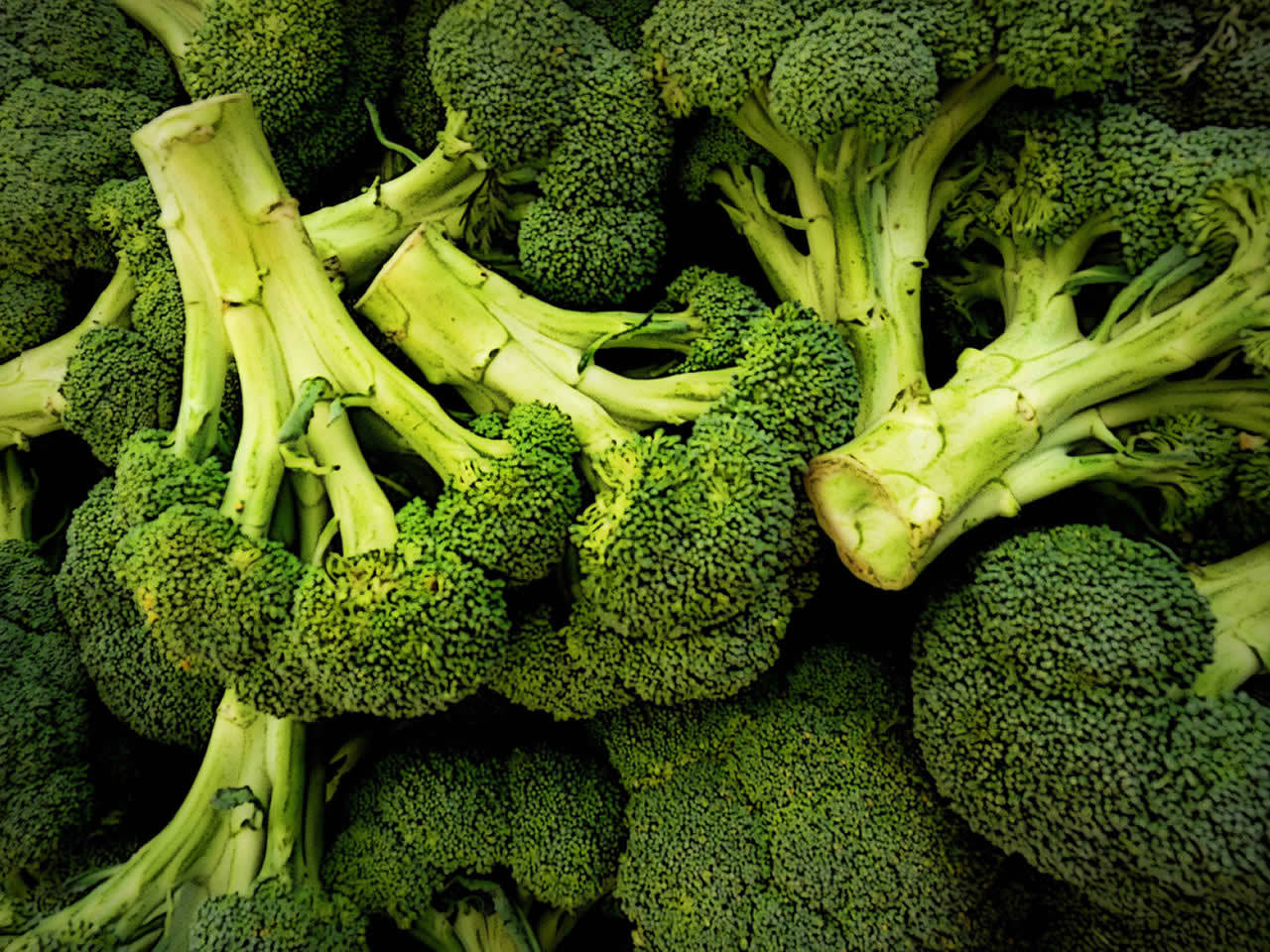 2022/07/04/brokoli-nedir-brokolinin-faydalari-nelerdir-brokoli-nasil-yenmeli-brokoli-fotograflari-1-gelgez.jpg
