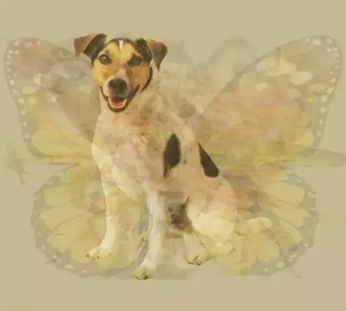 resimde-ilk-ne-gordunuz-6