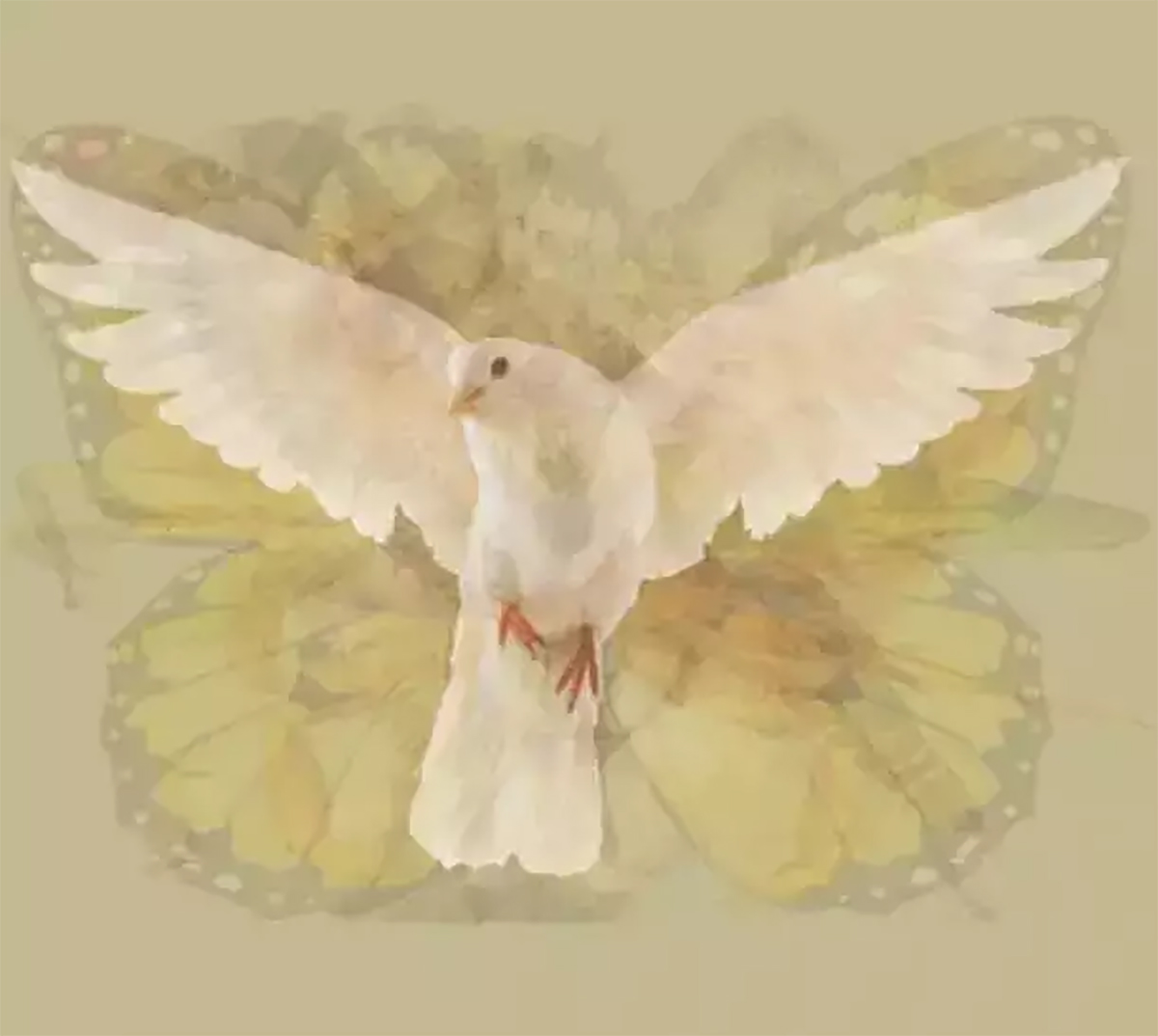 resimde-ilk-ne-gordunuz-9