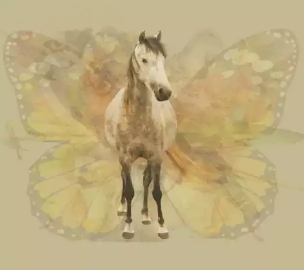 resimde-ilk-ne-gordunuz1