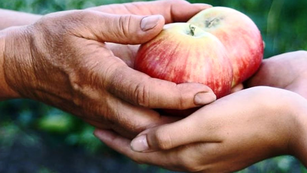 comert-burclar-hangileri