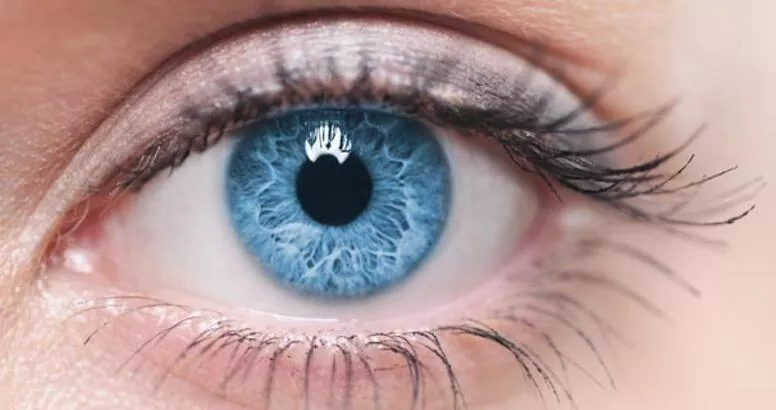 5c8e513045d2a05870db57c6