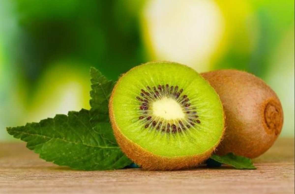 Kivinin faydaları