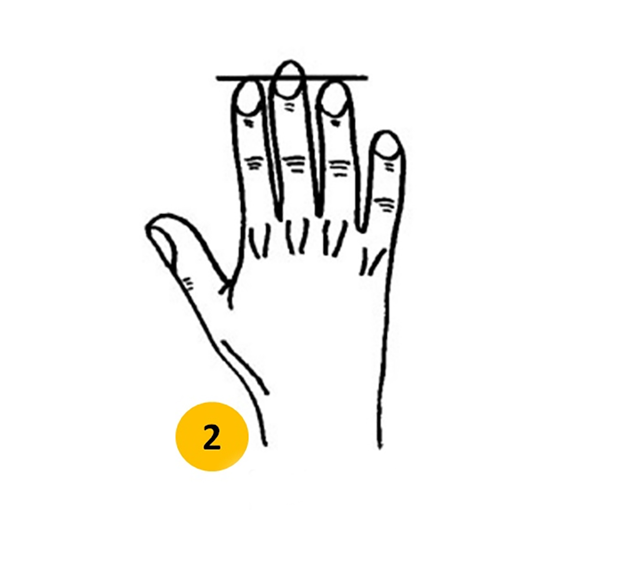 parmak-uzunlugu-kisilik-testi