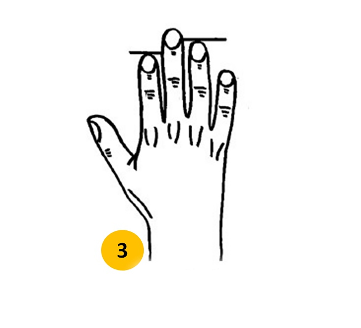 parmak-uzunlugu-testi-kisilik