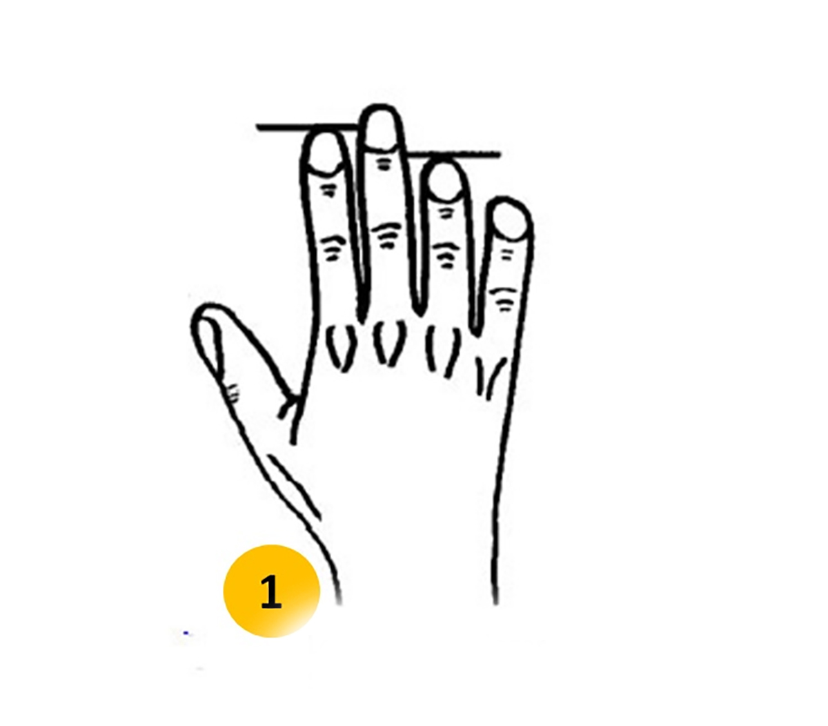 parmak-uzunlugu-testi