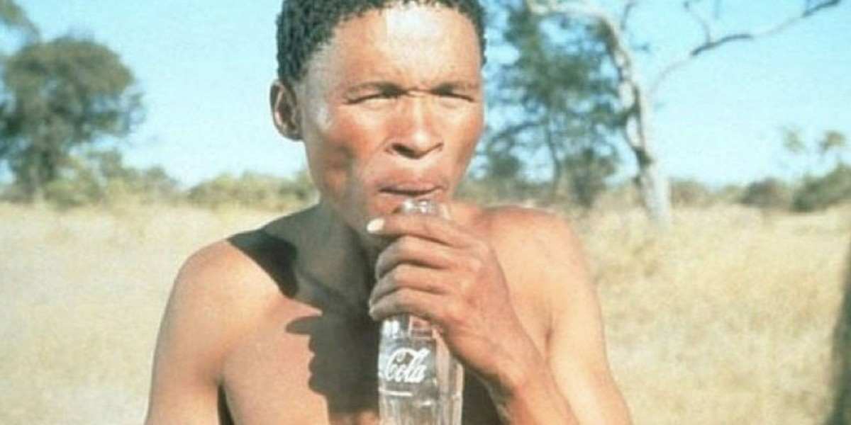 Tanrılar Çıldırmış Olmalı