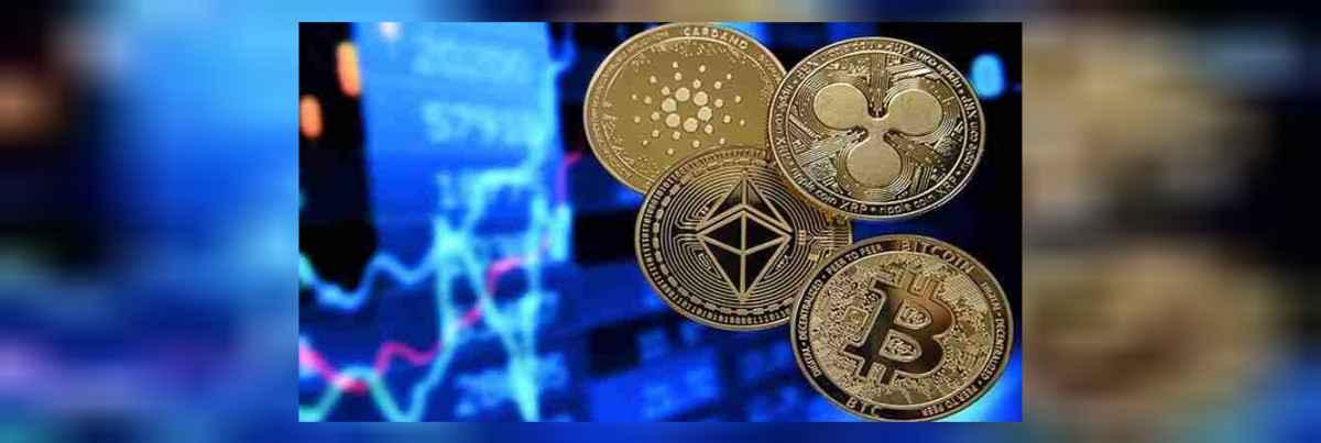 kripto para borsası