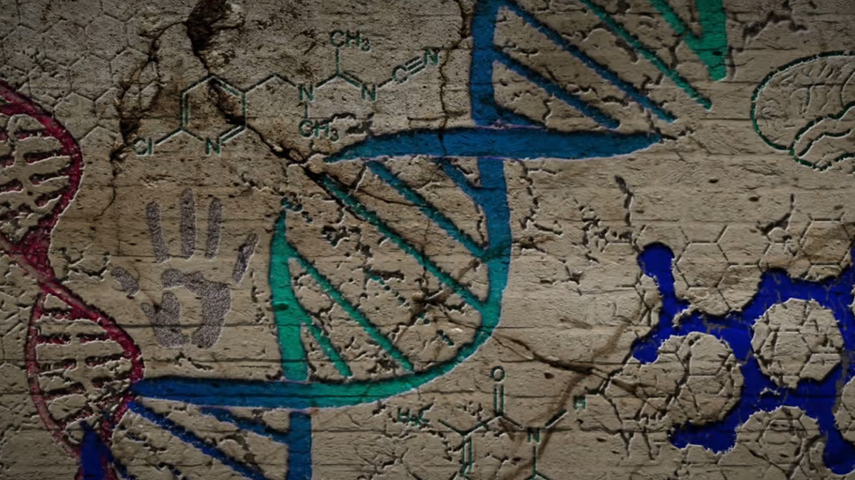 2022/08/08/dna-yapitasi