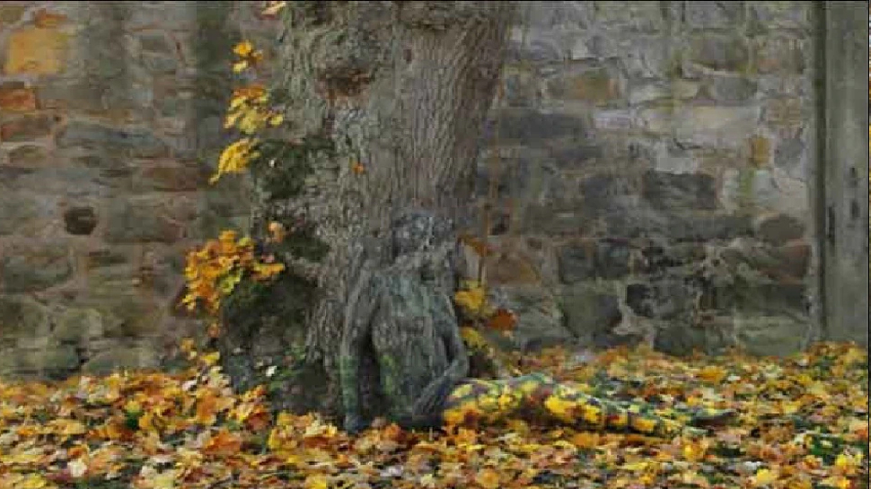 resimdeki-kiz-nerede