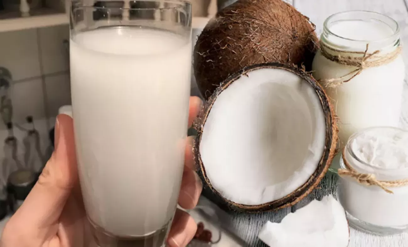 hindistan-cevizi-ne-ise-yarar-hindistan-cevizi-yaginin-faydalari-nelerdir-1564321596-7527