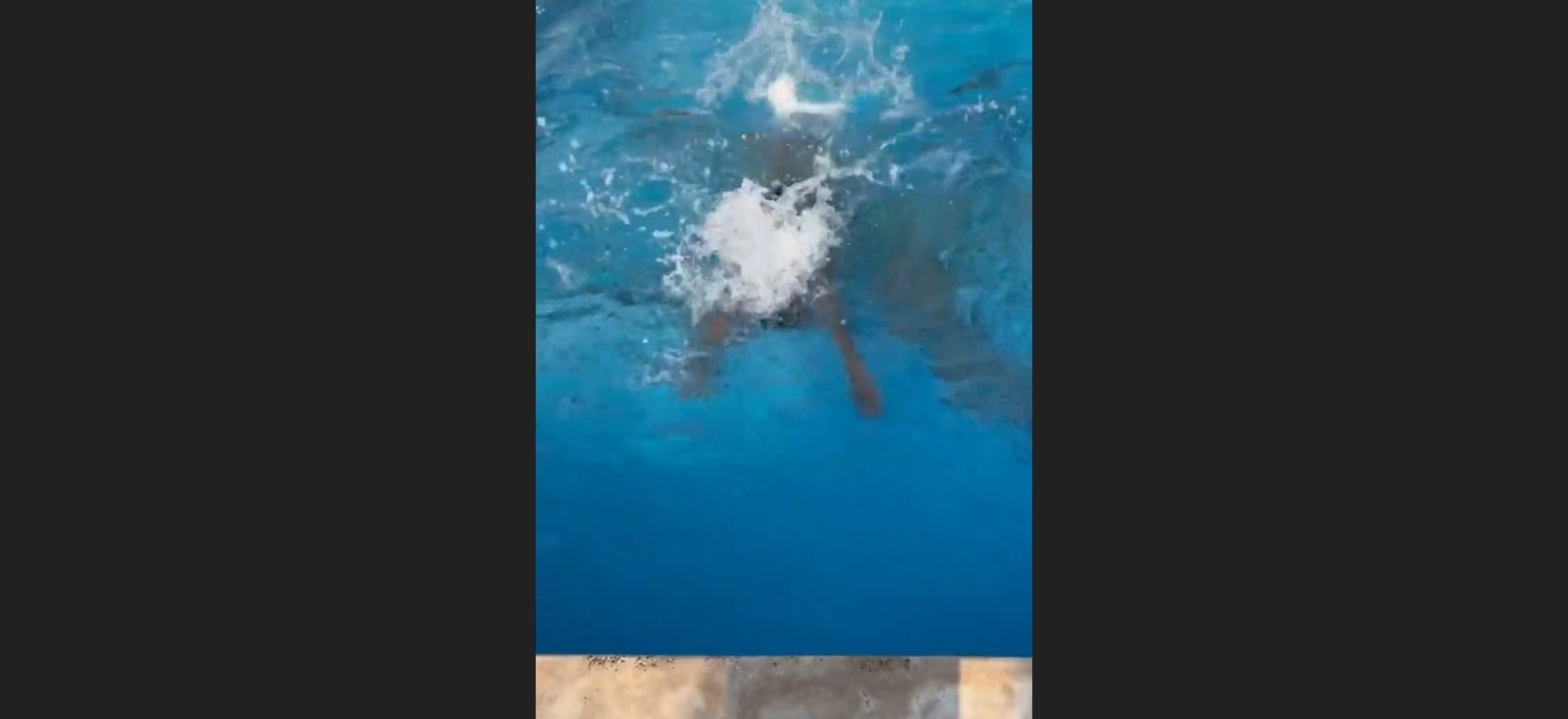 a83515cf-8d4e-4ccc-abc0-0508628b676a