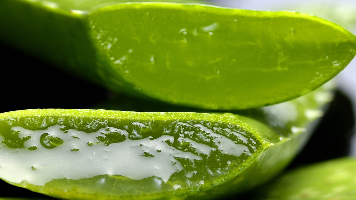 aleovera