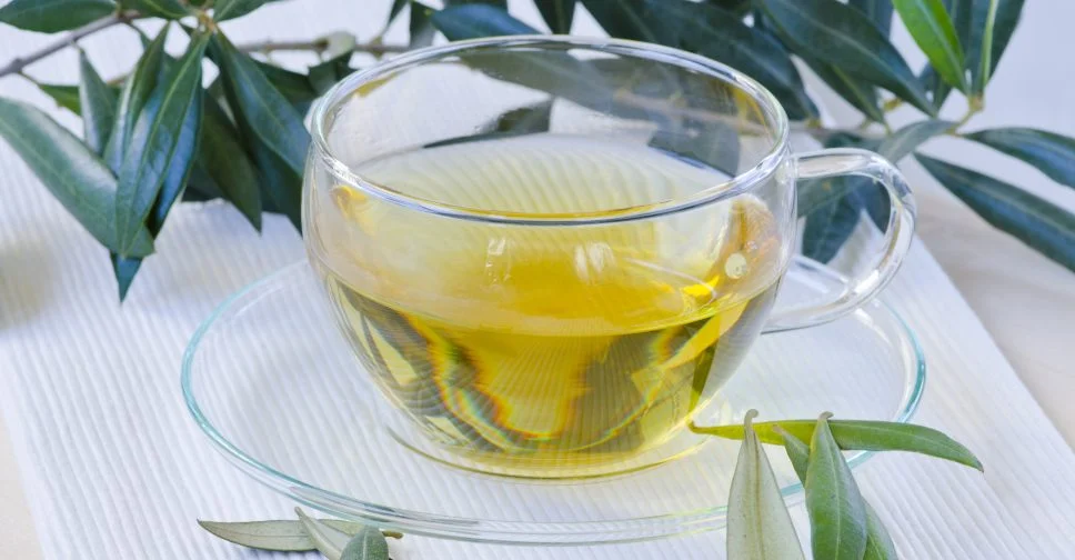 fb-zeytin-yapragi-cayi-faydalari