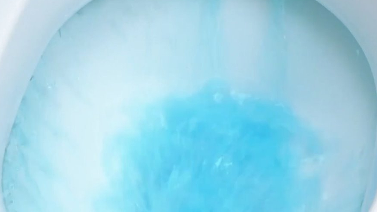 dis-macunu-sifon-kokusu