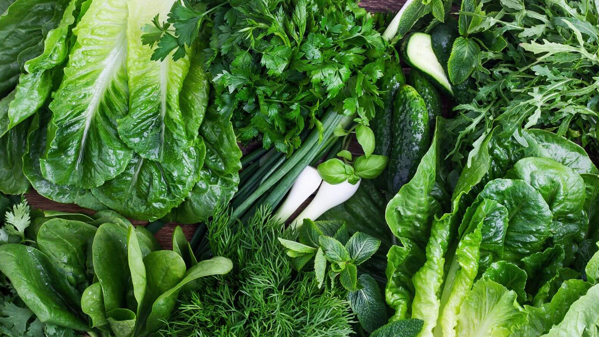 हरी पत्ती-सब्जियां.jpg