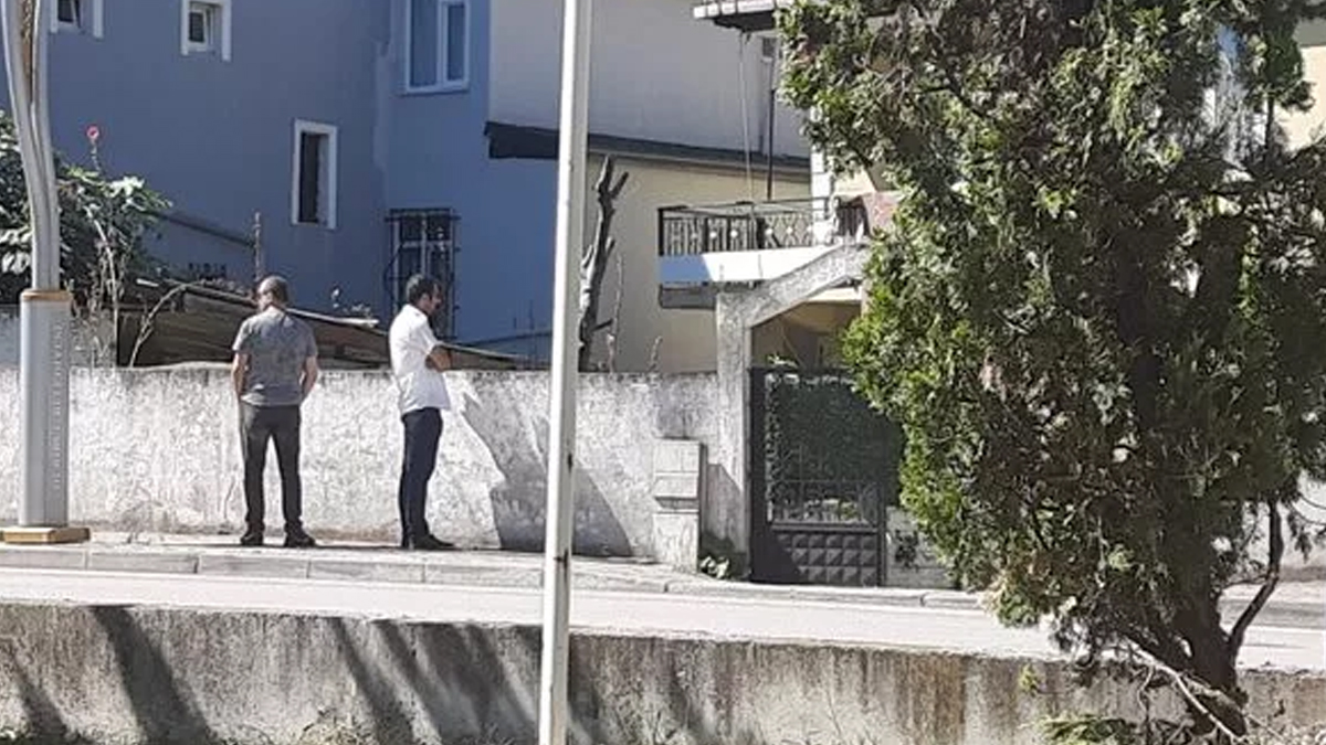 ali-surmeli-akce-surmeli