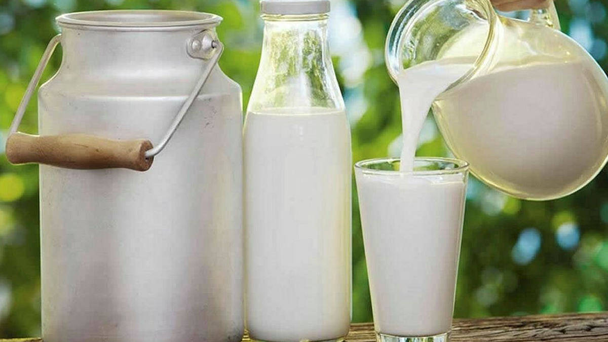 inek-sutunun-faydasi