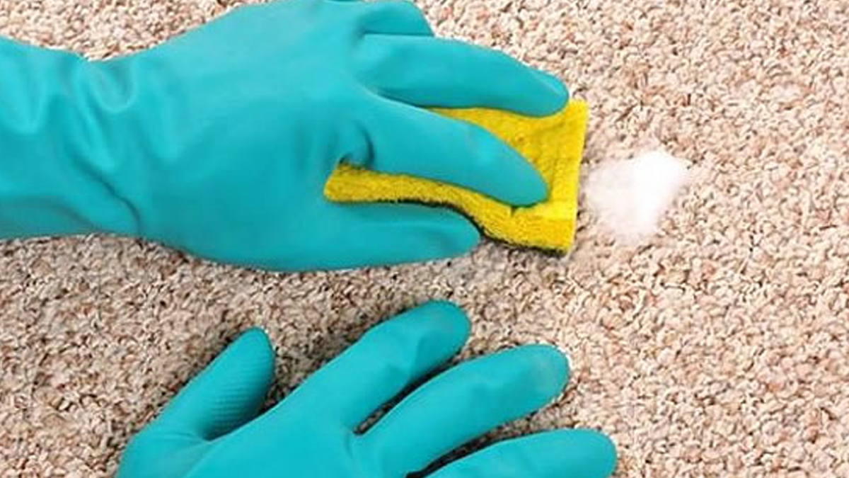 basliksiz-1-kurtarildi