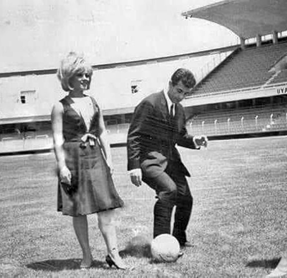 gonul-yazar-metin-oktay