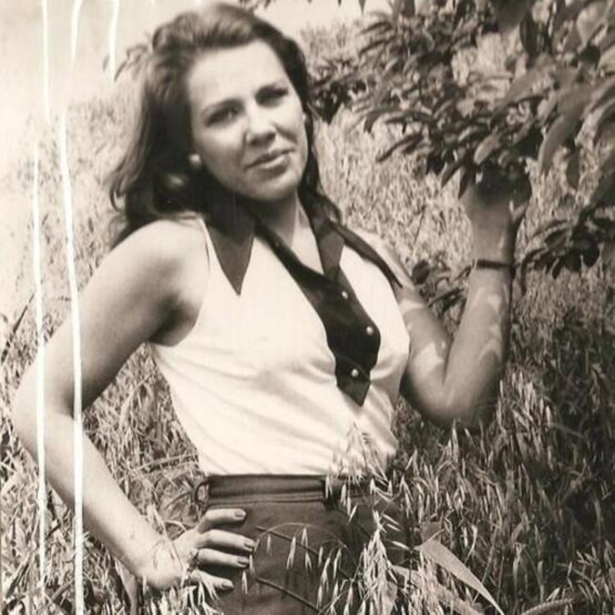 Işıl Yücesoy kimdir