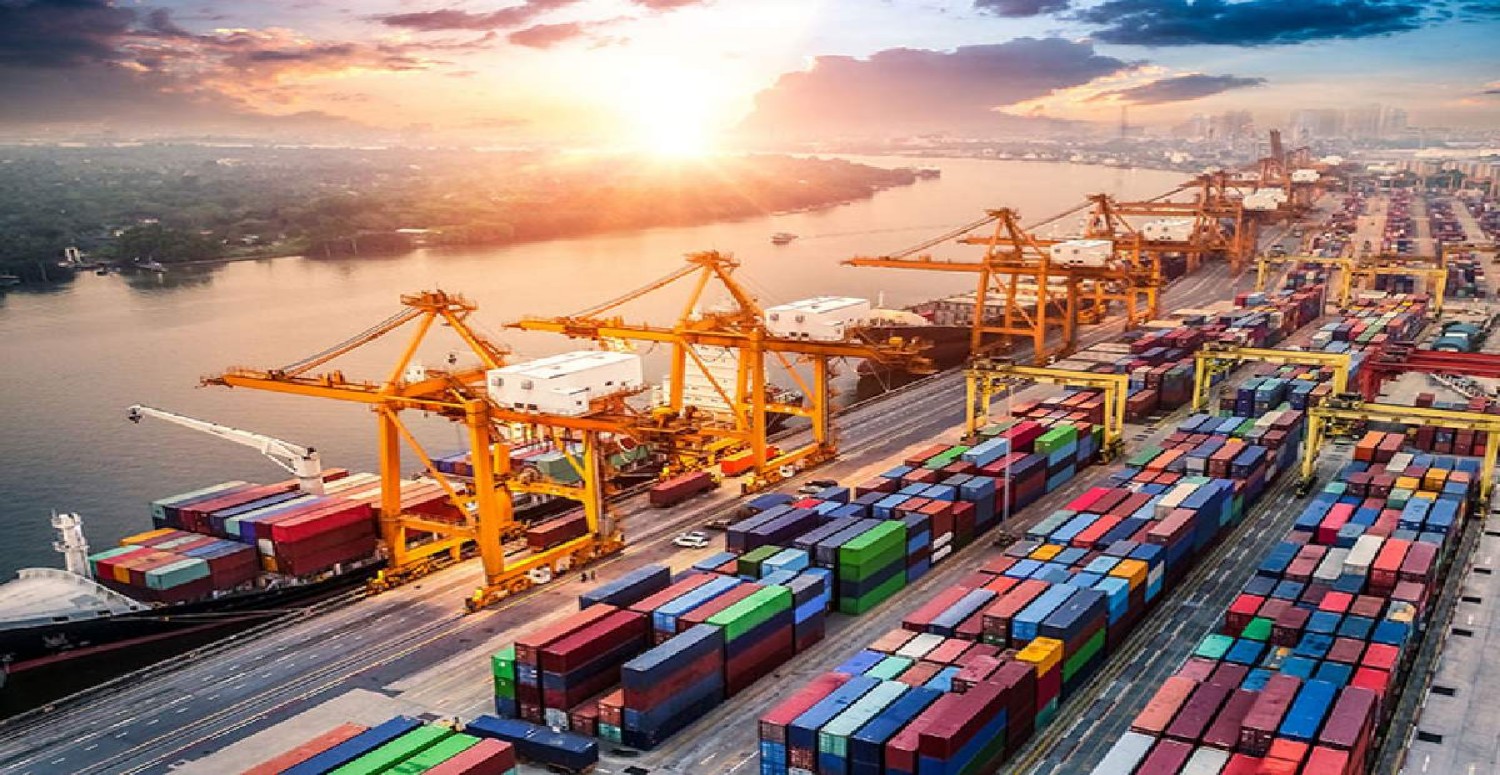 gümrük müşaviri nedir