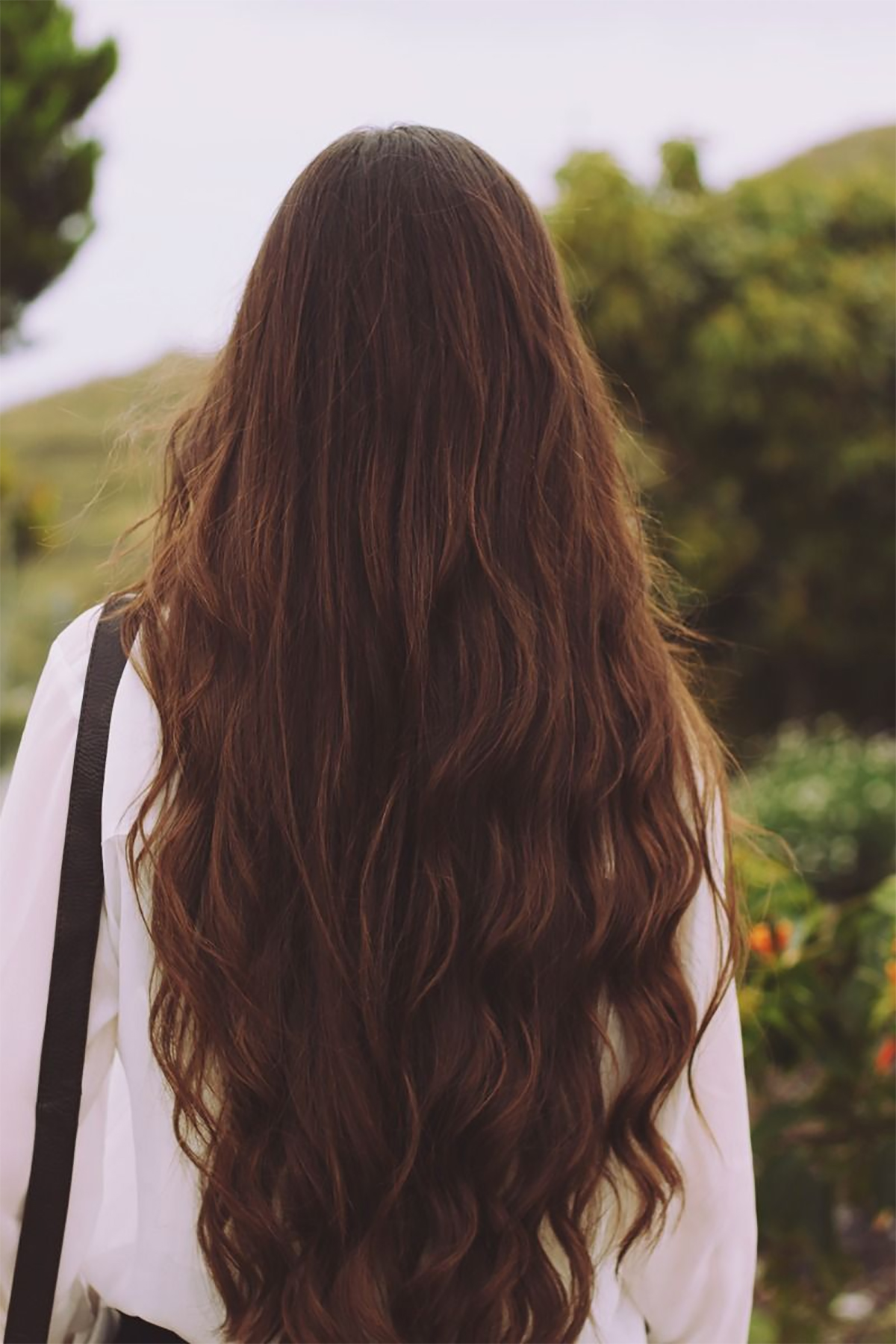 Каштановая девочка. Длинные каштановые волосы. Длинные волосы со спины. Уагтаноыфе длинные волосы. Густые каштановые волосы.