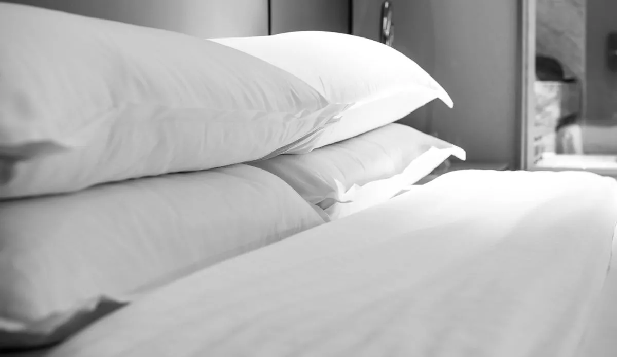 5e061736ae298bb1feda26da