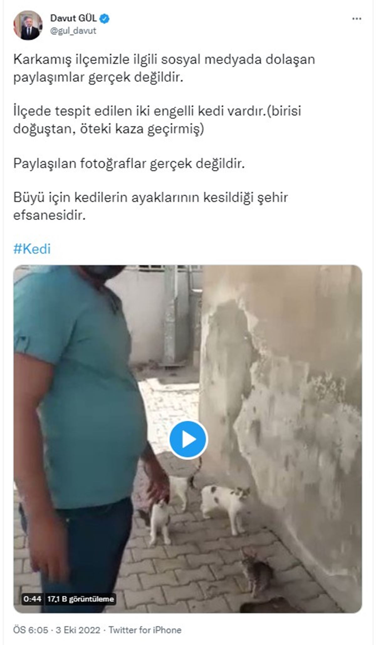 gaziantep-valisi-davut-gul-kedi-bacagi