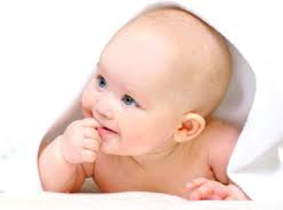 gönder isminin anlamı