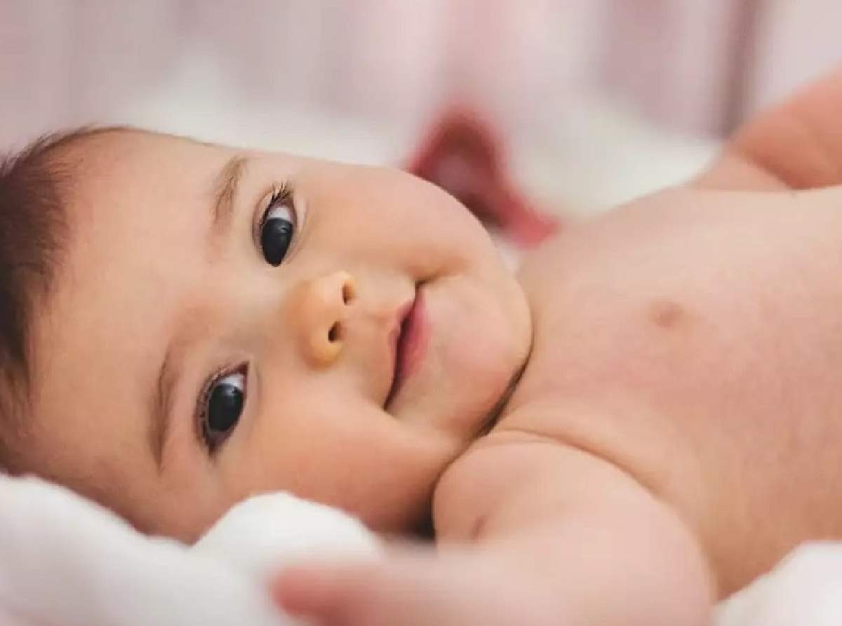 seğmen isminin anlamı