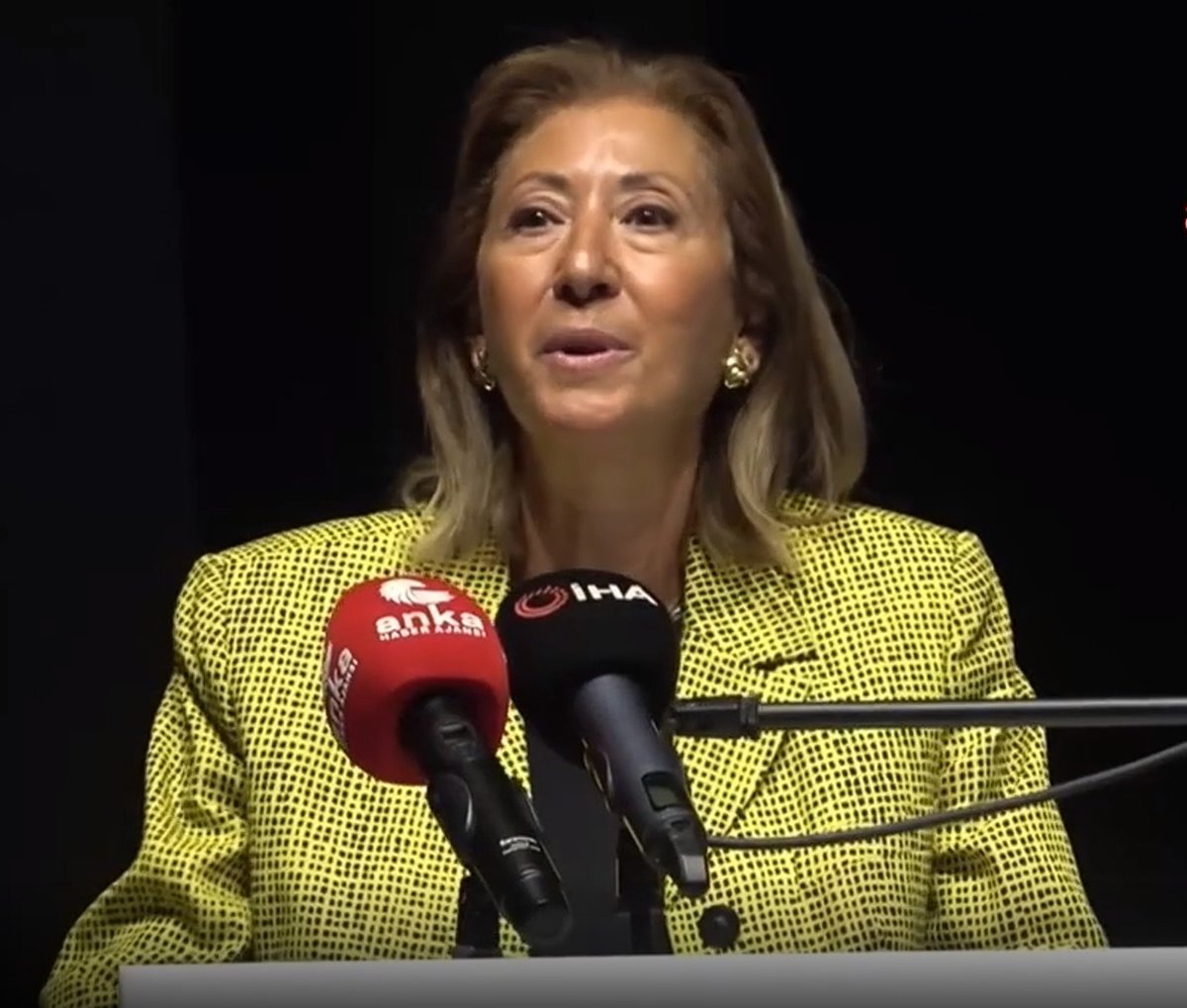 inonu-vakfi-baskan-yardimcisi-gulsun-bilgehan