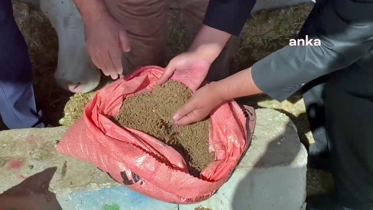 besiciler-zor-durumda-3