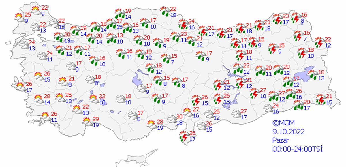 haritatahmingun1-copy