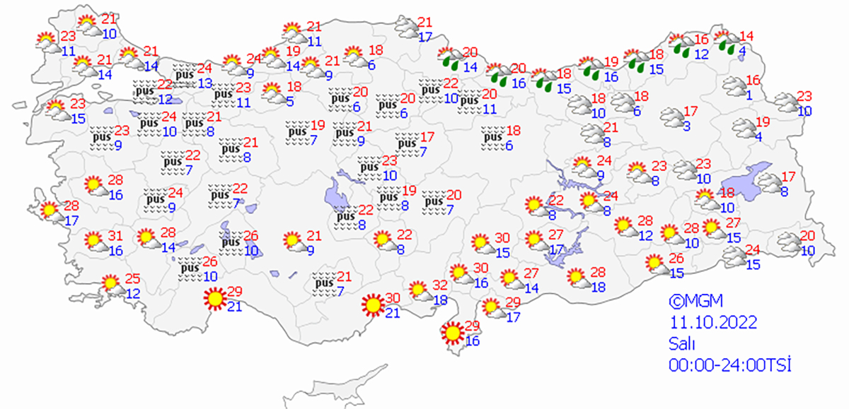 haritatahmingun3-copy