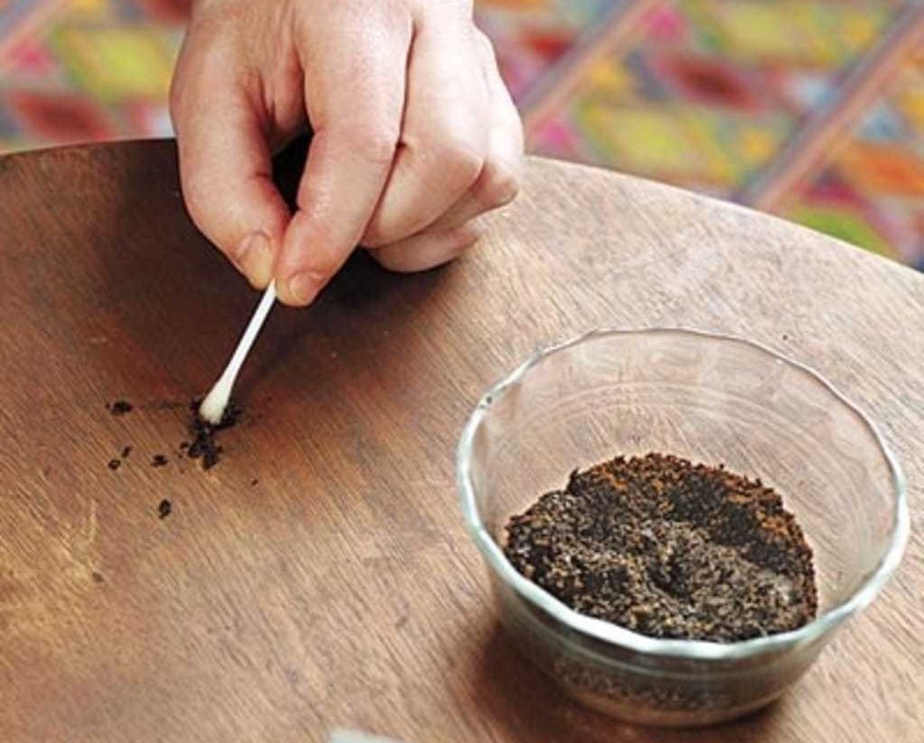 kofejnaya-gushcha-ot-carapin-e1565798110241