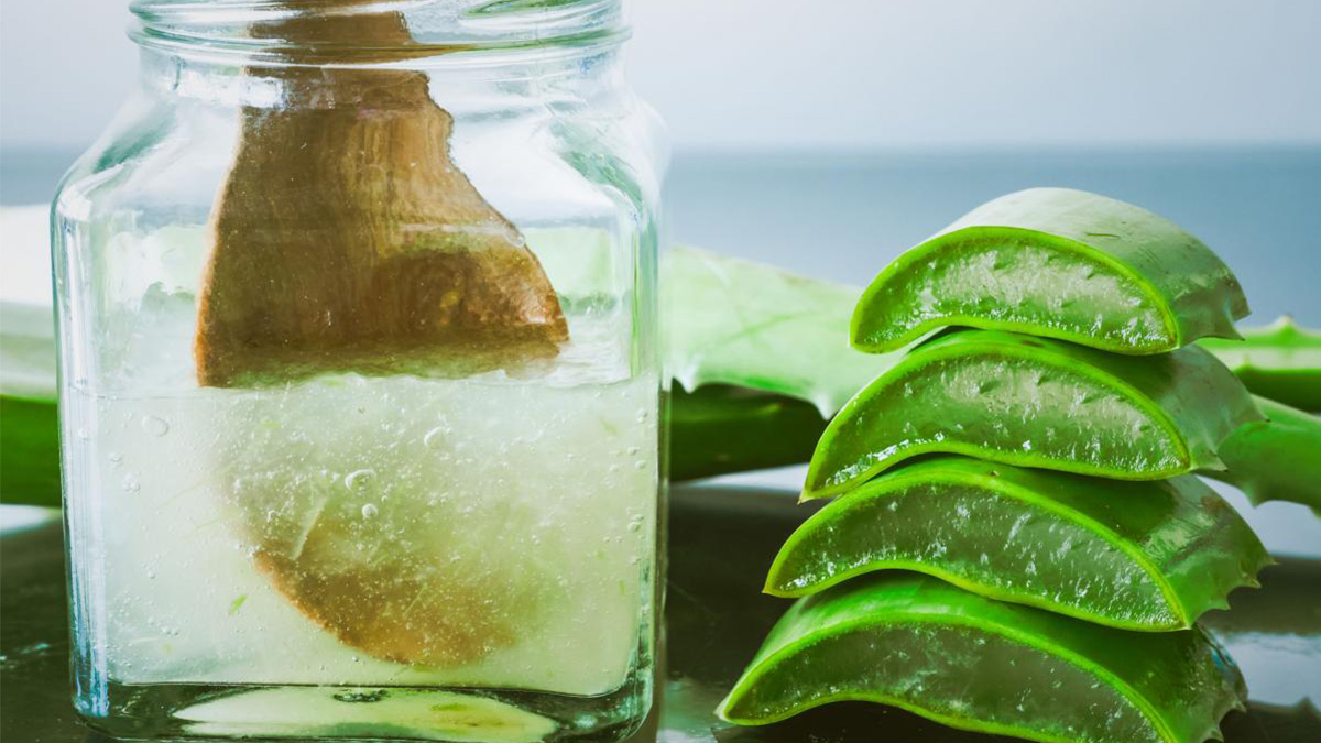 Fazla kilolardan kurtulmak için aloe vera bitkisi nasıl kullanılır