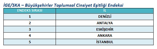 ige-ska-buyuksehirler-toplumsal-cinsiyet-esitligi-endeksi