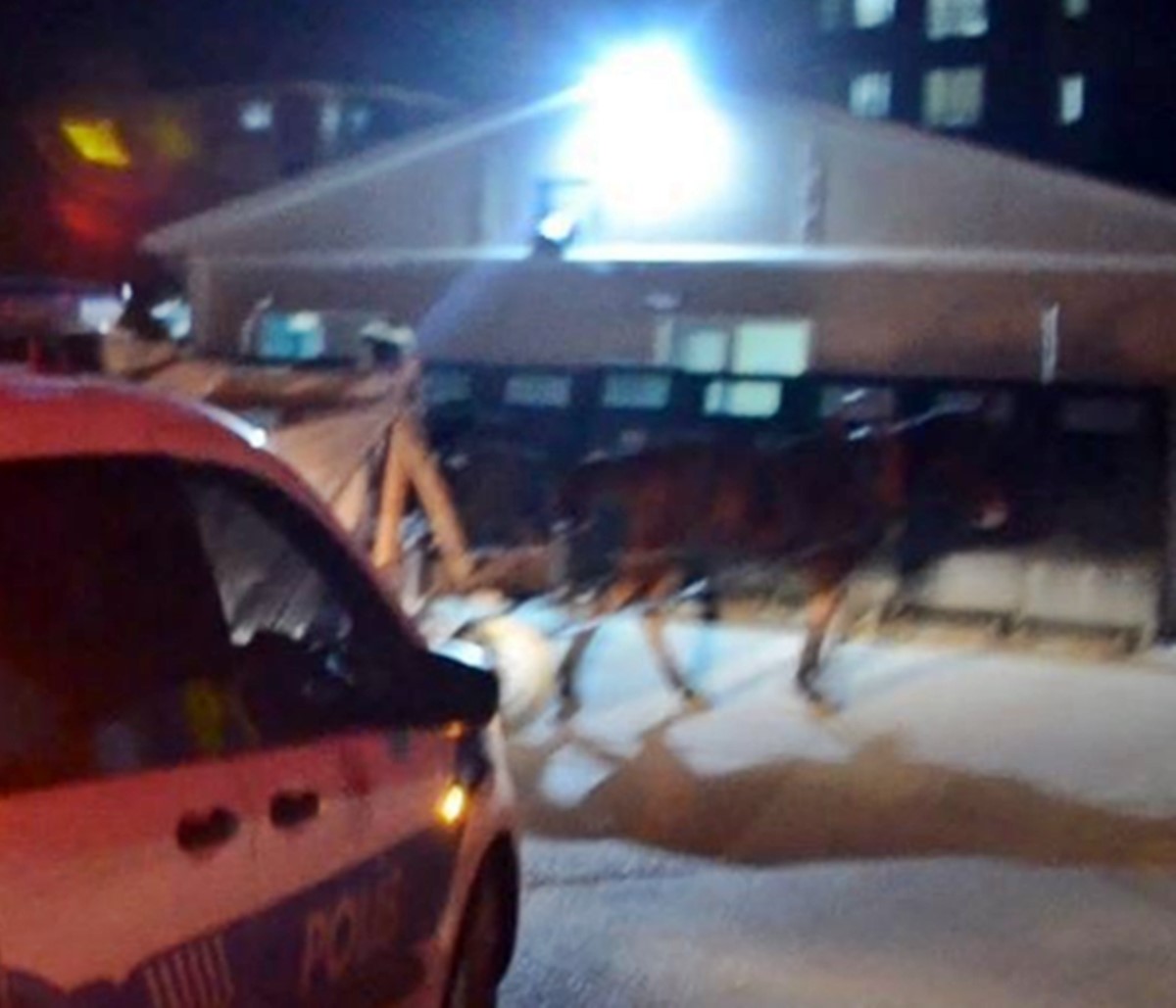 at-arabasiyla-insaat-malzemesi-calan-kadinlar