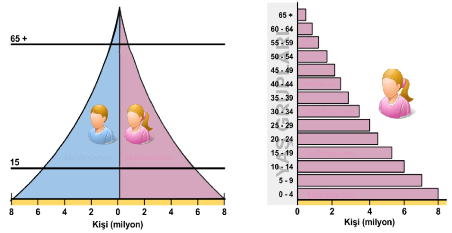 Bağımlı nüfus oranı