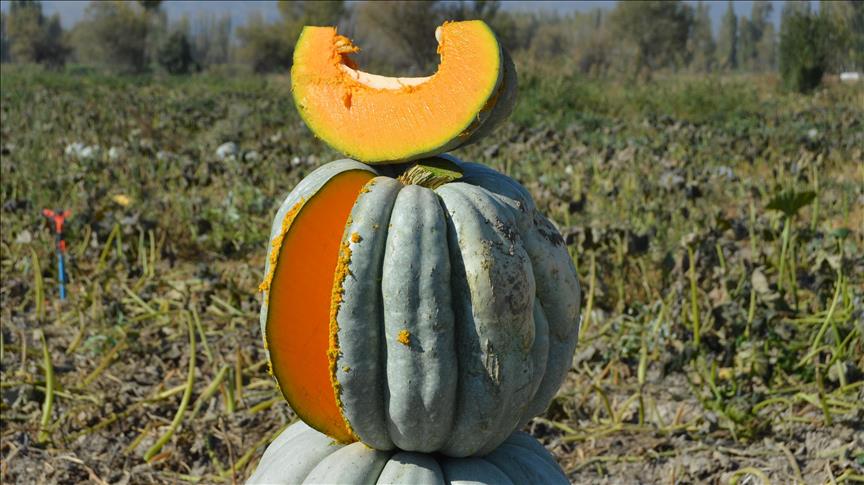 thumbs-b-c-9e52a420dc1870a61aa20af5ad50b79f