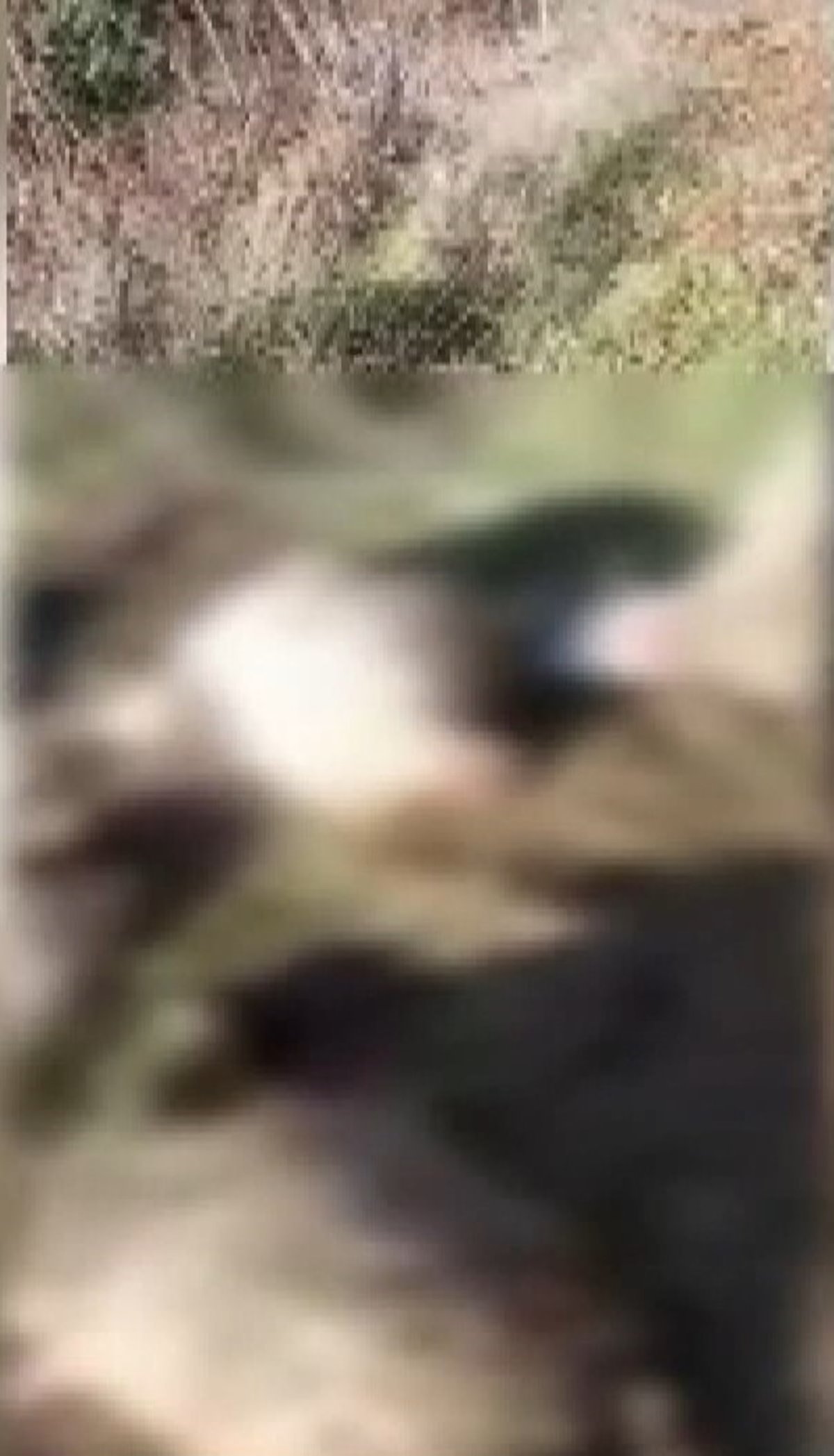 istanbul-arnavutkoy-haberleri