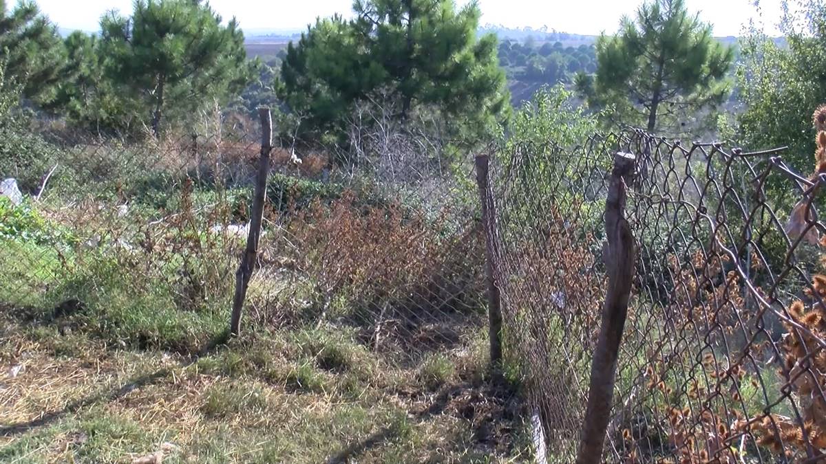 istanbul-arnavutkoy-nerede