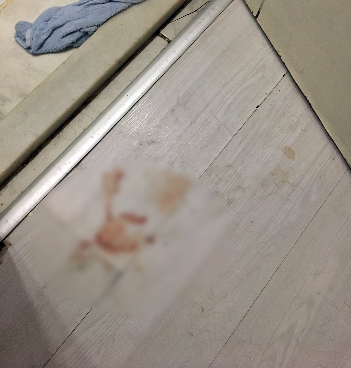 istanbul-cekmekoy-kadin-cinayeti